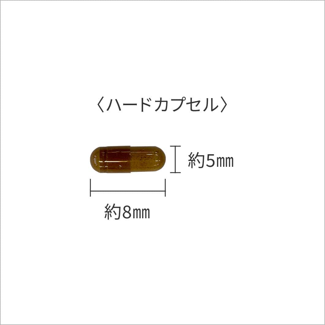 ナマコサプリメント ナマコ粉末100%使用 12袋　まとめ買いお買い得品！ - 海の恵み健康食品株式会社