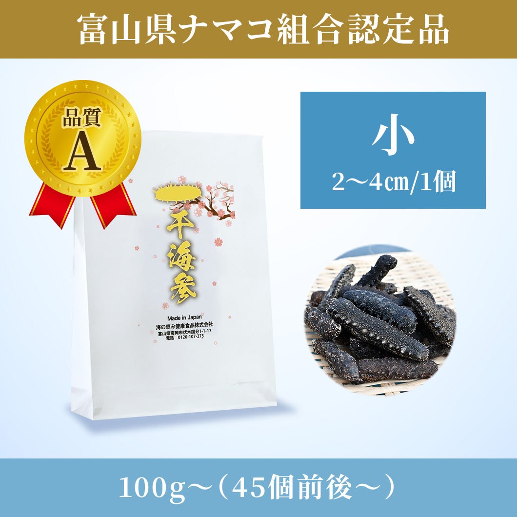 乾燥ナマコ 品質A 小（1個2cm~4cm） - 海の恵み健康食品株式会社