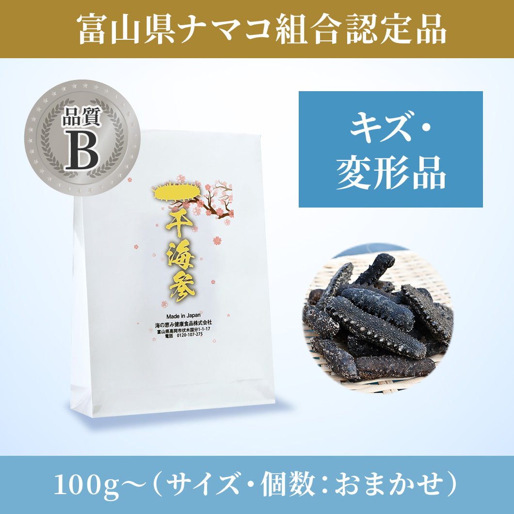 乾燥ナマコ 品質B（キズ・変形品） - 海の恵み健康食品株式会社