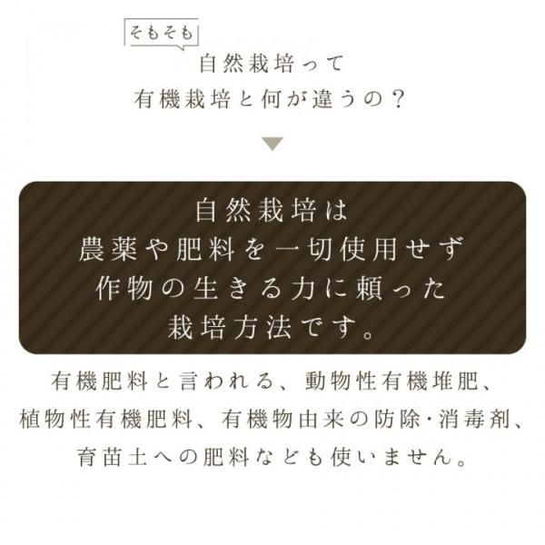 ひとめぼれ玄米30kg(なりさ