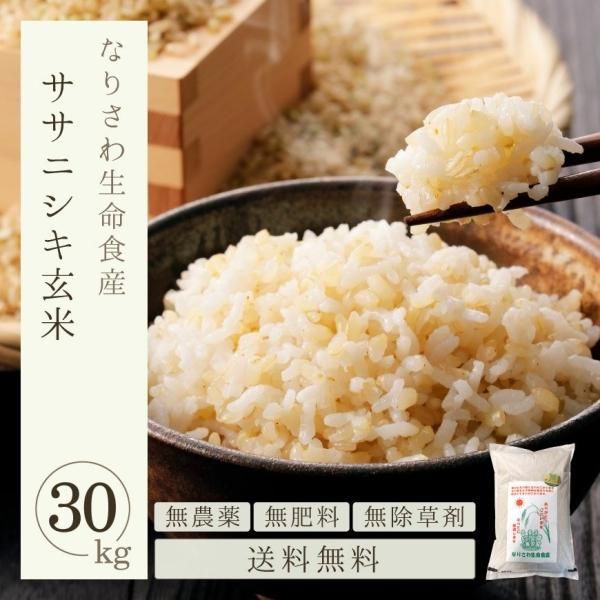 ササニシキ玄米30kg (なり