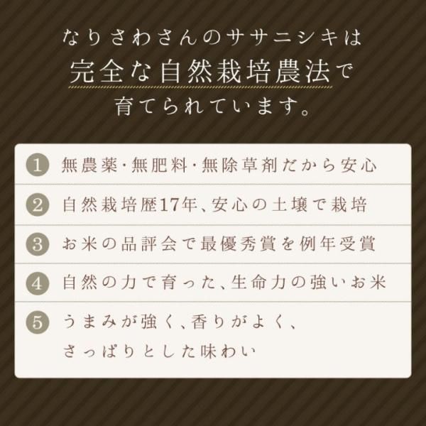 ササニシキ玄米30kg (なり