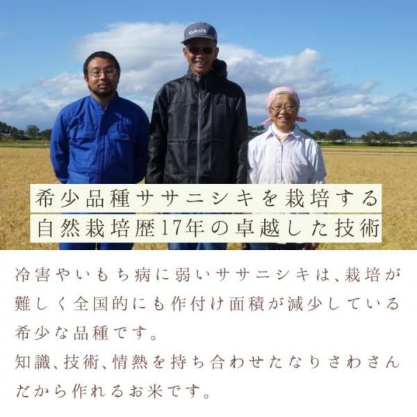 ササニシキ玄米30kg (なり