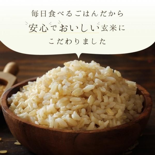 ササニシキ玄米600g(なりさ