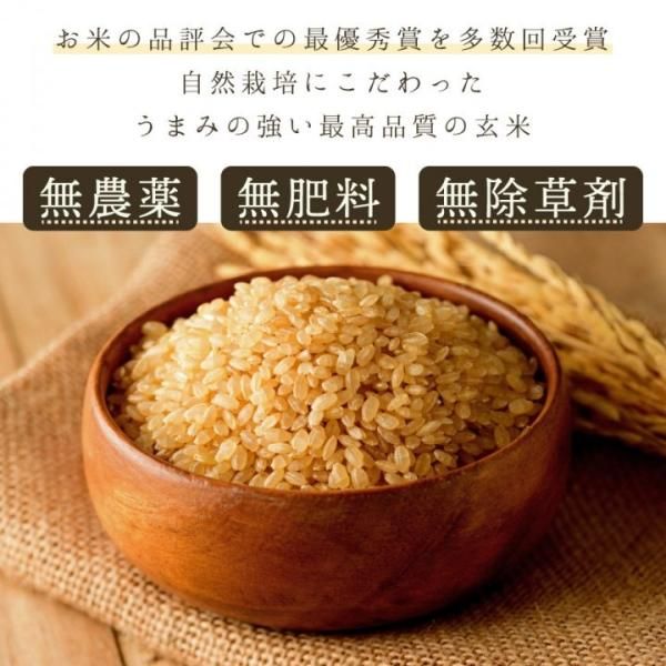ササニシキ玄米600g(なりさ