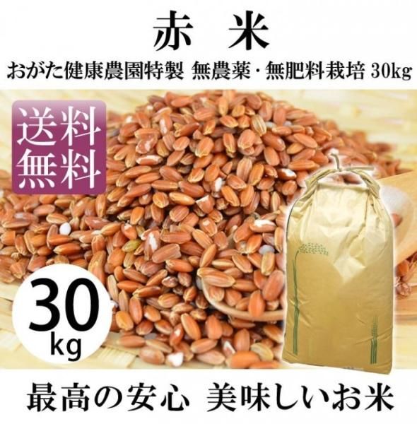 赤米-無農薬・自然栽培(おがた