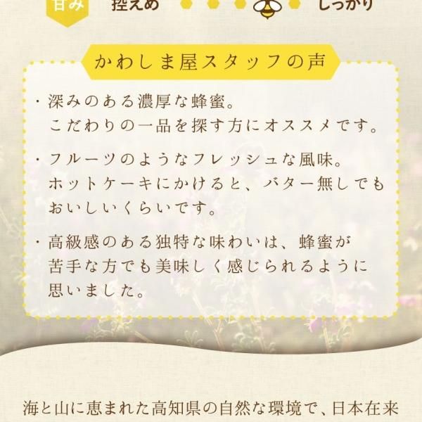 ニホンミツバチの和蜜 500g