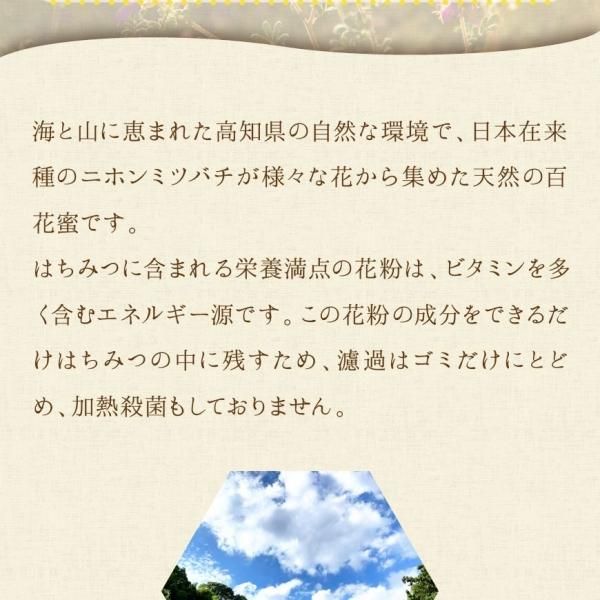 ニホンミツバチの和蜜 500g