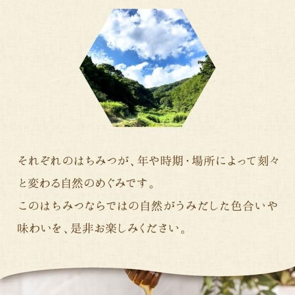ニホンミツバチの和蜜 500g