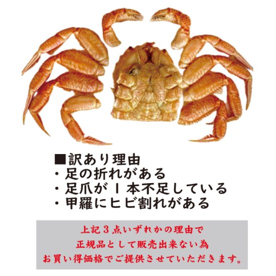 北海道産 訳あり毛蟹 姿（約300g×1杯）| お店の味をご家庭で！ - 銀座板前バル