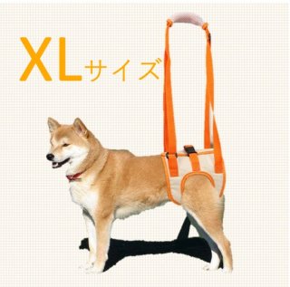 Ѳϡͥ XL  ϡͥ  Ϸ ϡͥ ­ ϡͥ  ԥݡ   ϡͥ    緿 淿