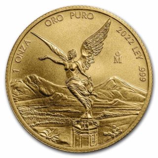 2022 メキシコ リベルタード金貨 1オンス 地金型 新品 クリアケース付