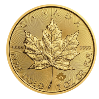 2019 カナダ メイプルリーフ 1オンス 地金型金貨 クリアケース付 新品未使用  