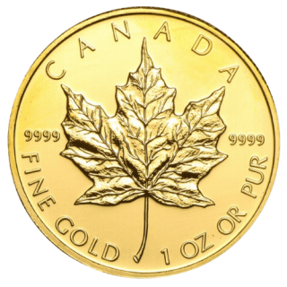 2010 カナダ メイプルリーフ 1オンス 地金型金貨 クリアケース付 新品未使用  