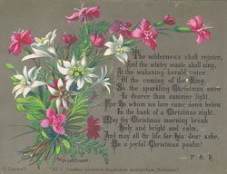 No.5. Dianthus silvestris, Gnaphalium leontopodium, (Edelweiss), chromolithograph by Helga von Cramm, with hymn by F. R. Havergal, 1877.