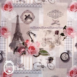 ڥեPARIS RETRO