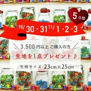 <img class='new_mark_img1' src='https://img.shop-pro.jp/img/new/icons1.gif' style='border:none;display:inline;margin:0px;padding:0px;width:auto;' />10/30ڡˡ11/3ʷ ץ쥼ȴڥܥӤshelf2325cm