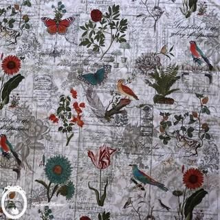 <img class='new_mark_img1' src='https://img.shop-pro.jp/img/new/icons1.gif' style='border:none;display:inline;margin:0px;padding:0px;width:auto;' />ڴָ̲ۥߥʥ