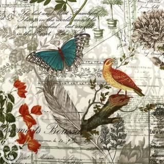 <img class='new_mark_img1' src='https://img.shop-pro.jp/img/new/icons1.gif' style='border:none;display:inline;margin:0px;padding:0px;width:auto;' />ߥʥ