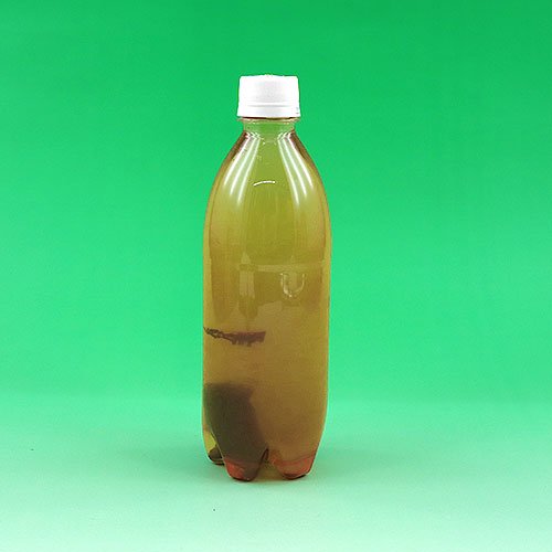 ほうじ茶 ティー ストア バッグ 水筒