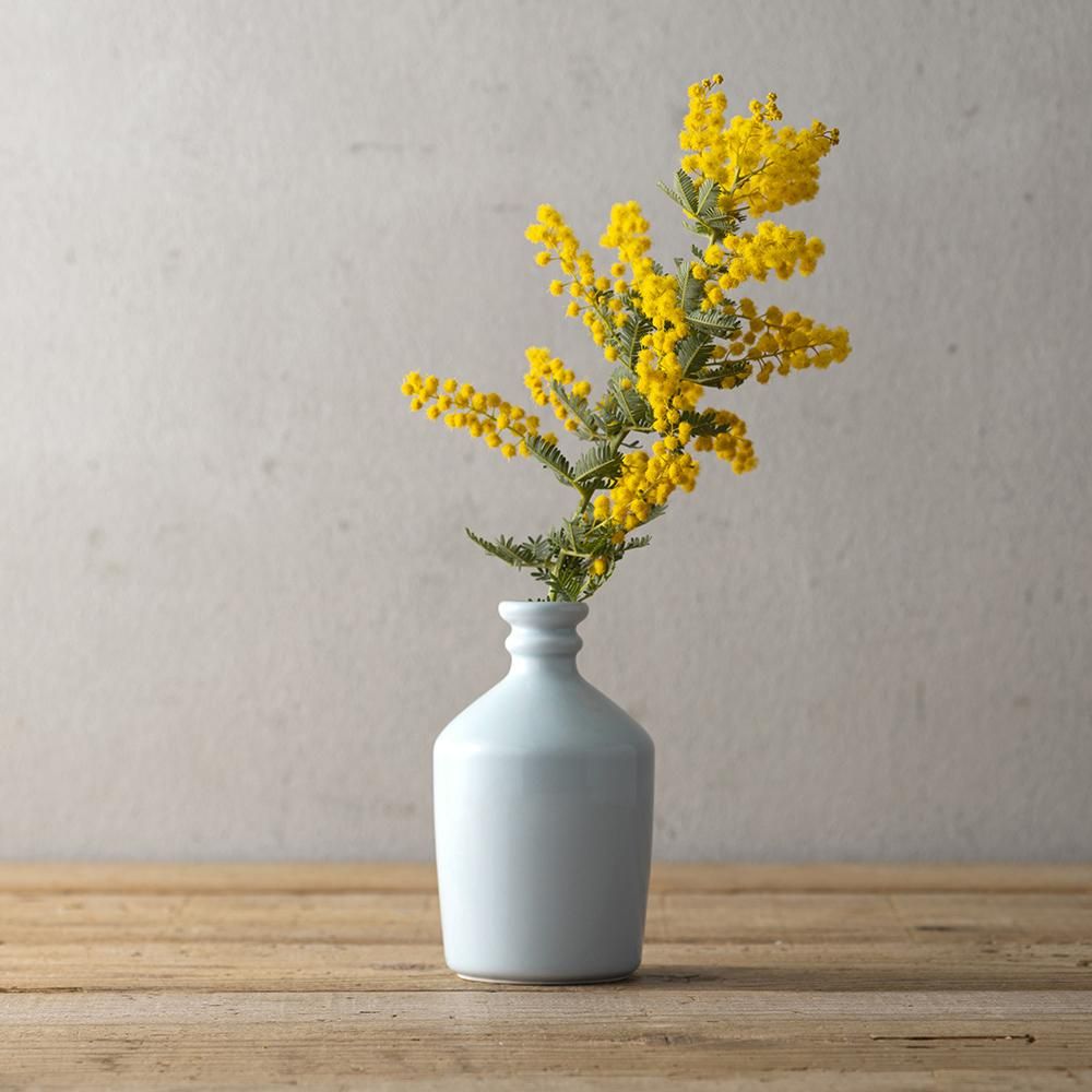 コンプラ花瓶／波佐見焼花瓶 ライフスタイルショップ【tilli】