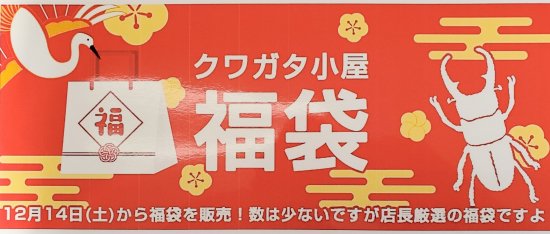 能勢SRかYGオオクワガタ：♂84mm台♀54mm台ペア　キ〇〇テ〇〇〇ヒラタ初二令幼虫3頭＋飼育用品 - くわがた小屋