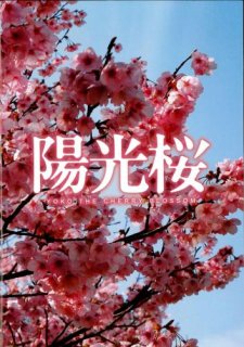 映画パンフレット「陽光桜-YOKO THE CHERRY BLOSSOM-」
