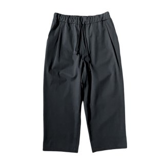 <img class='new_mark_img1' src='https://img.shop-pro.jp/img/new/icons47.gif' style='border:none;display:inline;margin:0px;padding:0px;width:auto;' />THE DAYʥ ǥ COMFORTABLE SOFTSHELL PANTS - BLACK ե֥ եȥ ѥ ֥å