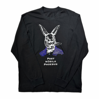 <img class='new_mark_img1' src='https://img.shop-pro.jp/img/new/icons65.gif' style='border:none;display:inline;margin:0px;padding:0px;width:auto;' />BRU NA BOINNE<br>BOSS long sleeve T