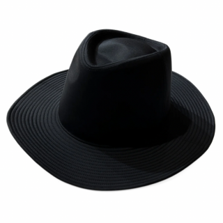 <img class='new_mark_img1' src='https://img.shop-pro.jp/img/new/icons25.gif' style='border:none;display:inline;margin:0px;padding:0px;width:auto;' />HEADS<br>Nylon Fedora Hat