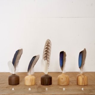 FEATHER AND WOOD30