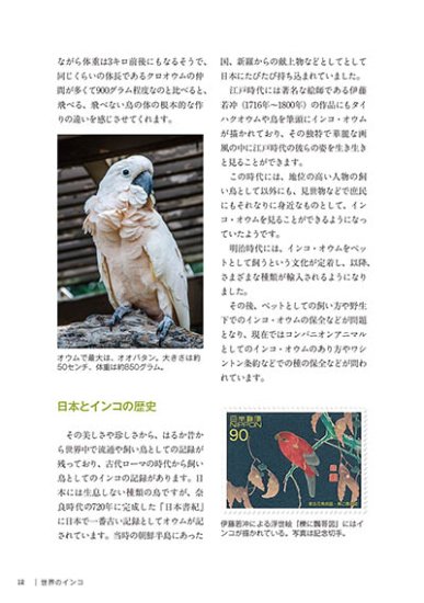 世界のオウムインコオウム餌 - 鳥用品