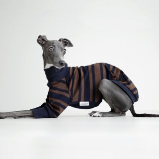 Three Quarter Sleeve [Border] dog Italian Greyhound Clothing