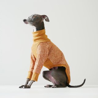 High Neck Sweat [heather Color] dog Italian Greyhound Clothing
