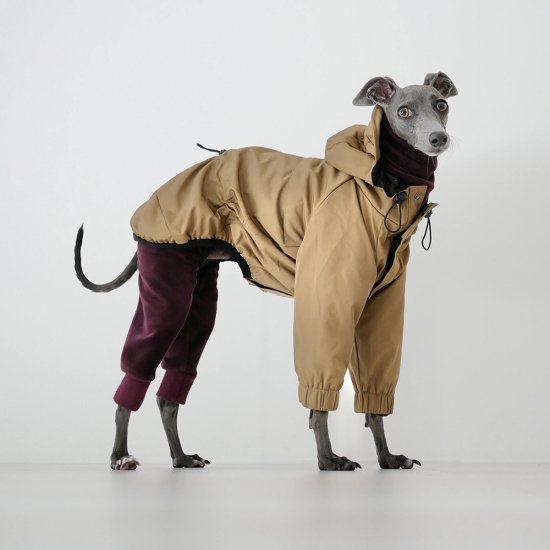 Italian greyhound outlet sweaters