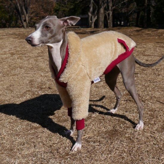 Italian greyhound outlet hoodie