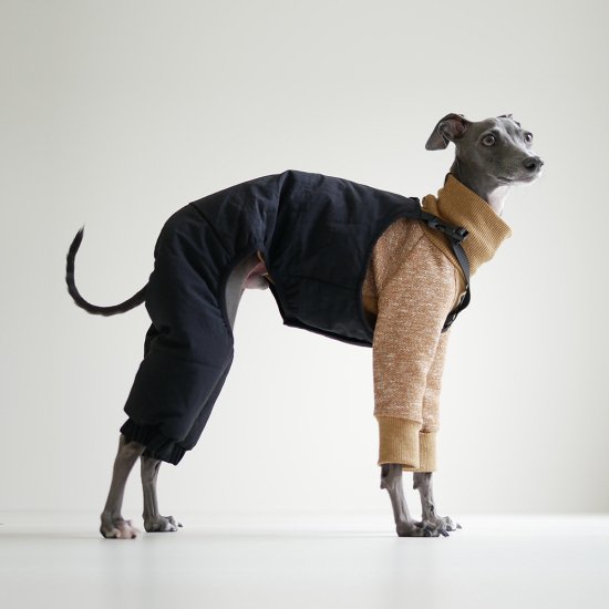 Italian shop greyhound outfits