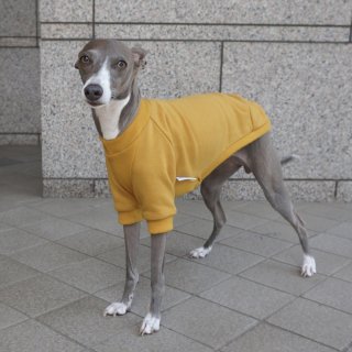 Half Sleeve Sweat Italian Greyhound Small-breed dogs Clothing