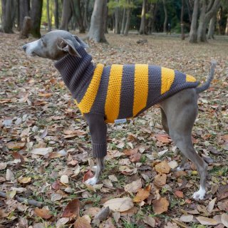 Stripe Sweater dog Italian Greyhound Clothing