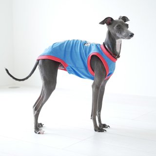 GREYHOUNDS Mesh Tank Top Italian Greyhound Small-breed dogs Clothing