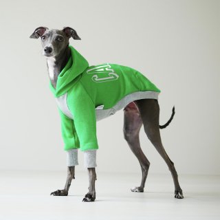 Customized Pullover Hoodie [Coastal Metropolis Back Print #01] dog Italian Greyhound Clothing