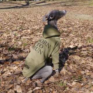 Customized Pullover Hoodie [ Message Back Print #02 ] Italian Greyhound Small-breed dogs Clothing