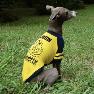 Raglan T-shirt [ American football ] Italian Greyhound Small-breed dogs Clothing