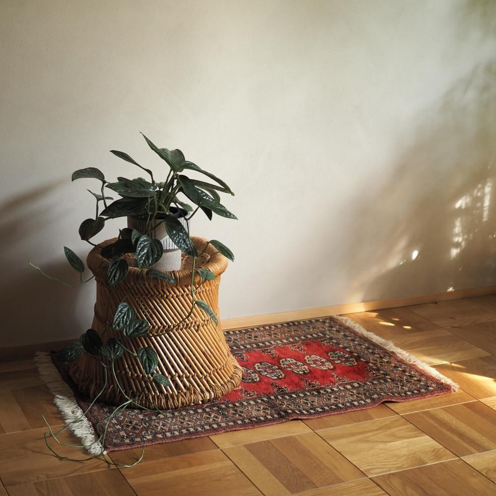 <img class='new_mark_img1' src='https://img.shop-pro.jp/img/new/icons14.gif' style='border:none;display:inline;margin:0px;padding:0px;width:auto;' />ơȥ饤Х饰 / Pakistan