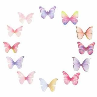 ꥢʥХե饤 10 ĳ  󥸡 ĳ 쥸 ꡼ѡ motif374 GreenRoseYumi 