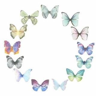 ꥢʥХե饤 10 ĳ  󥸡 ĳ 쥸 ꡼ѡ motif375 GreenRoseYumi 