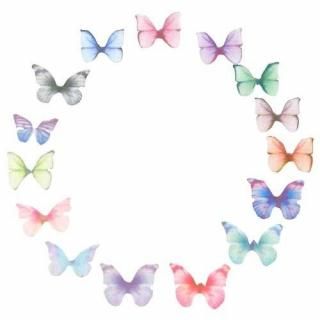 ꥢʥХե饤 10 ĳ  󥸡 ĳ  쥸 ꡼ѡ motif376 GreenRoseYumi 