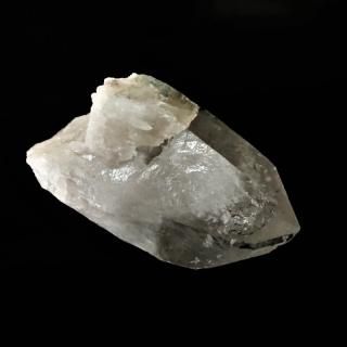 ティップリン産クラスター80-2