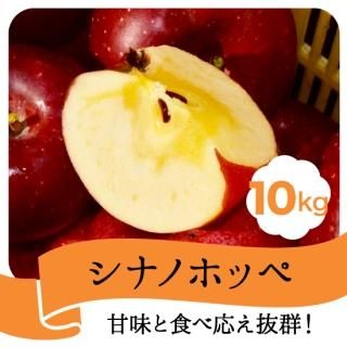 ڿ󤴡ۥʥΥۥå 10kg