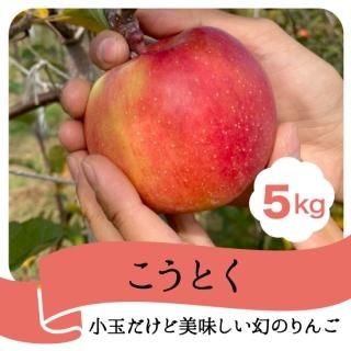 ڸξ̤󤴡ۤȤ 5kg